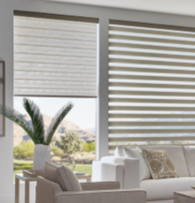 Alta Window Fashions Translucent - Dual Shades