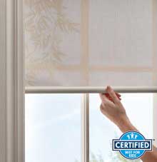 Alta Roller Shades Touchlift Cordless