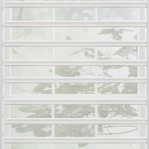 Sheer Shades 3